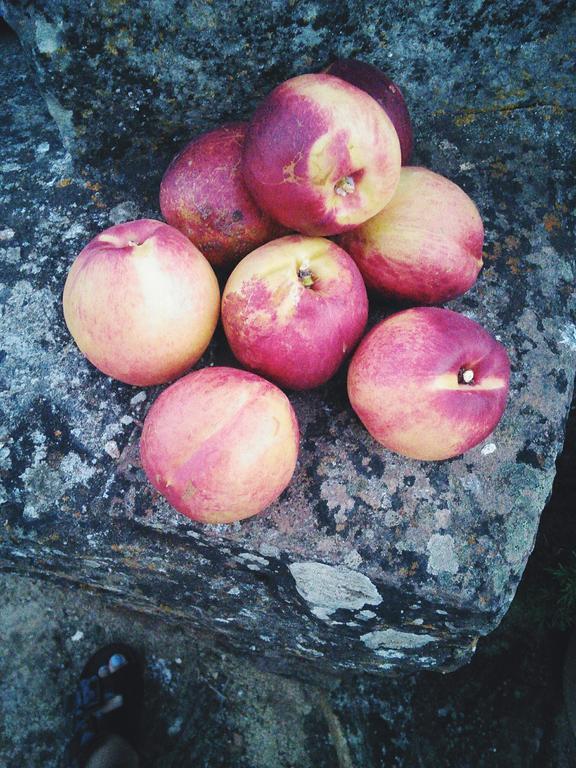 Herdade Do Azinhal Santa Clara-a-Velha Eksteriør billede